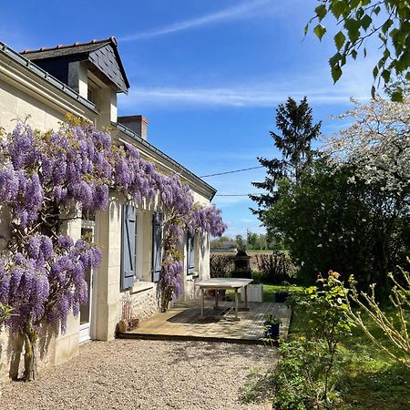 Chambres D Hotes Avec Piscine Et Spa La Foliere Saumur Villebernier Eksteriør bilde