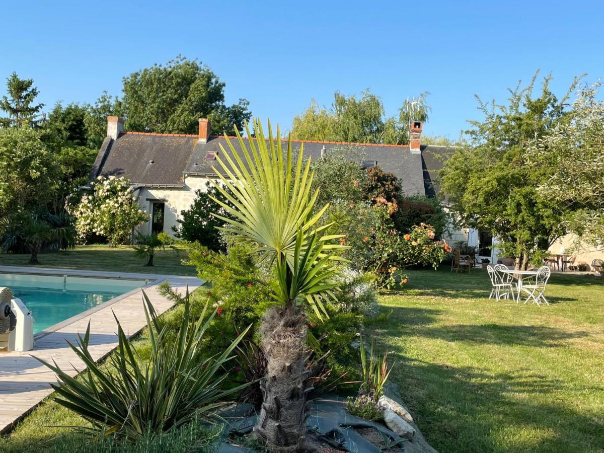 Chambres D Hotes Avec Piscine Et Spa La Foliere Saumur Villebernier Eksteriør bilde